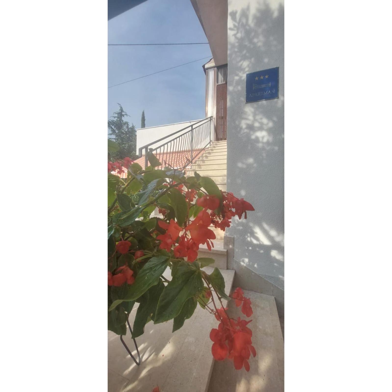 Apartman Dino Roč Buitenkant foto