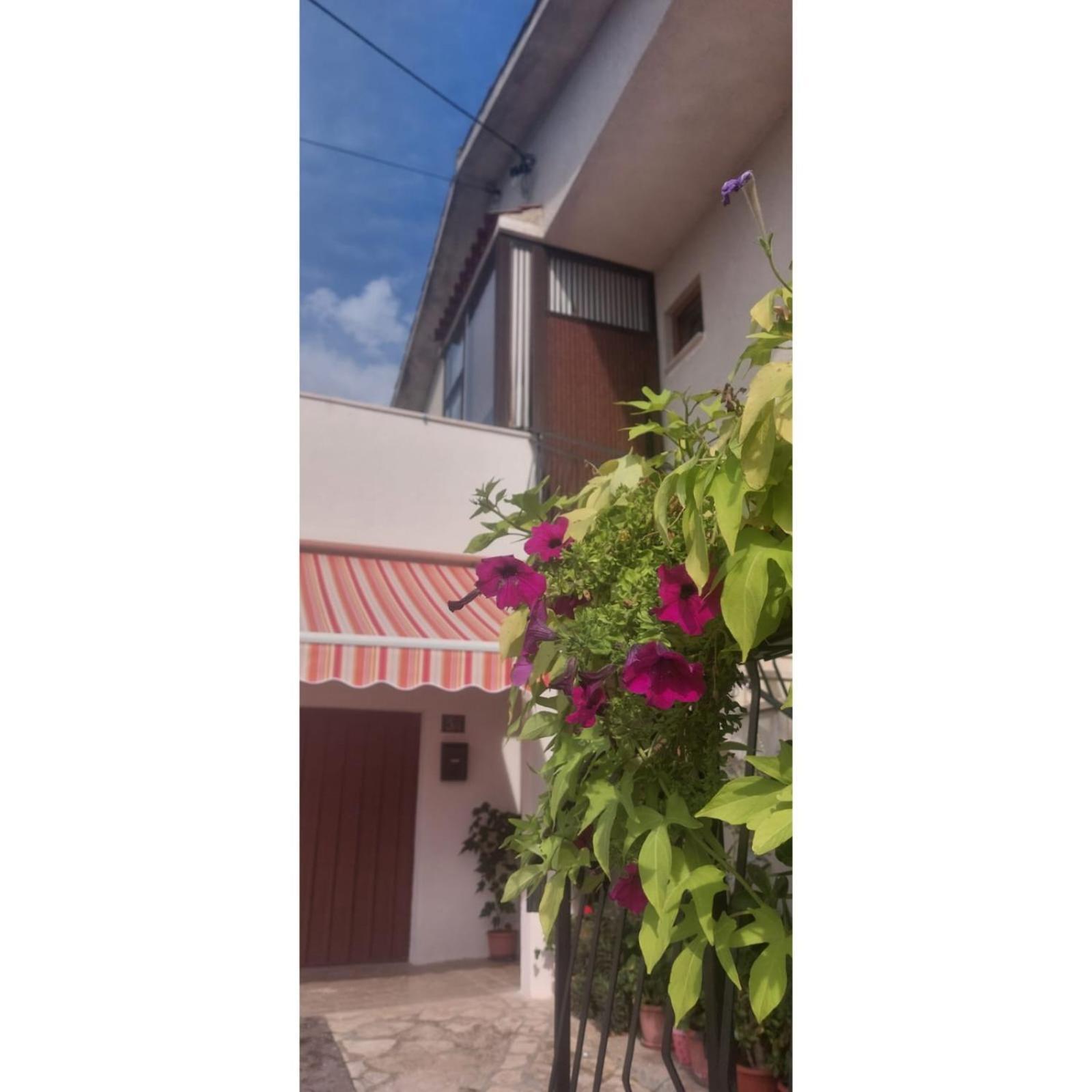 Apartman Dino Roč Buitenkant foto